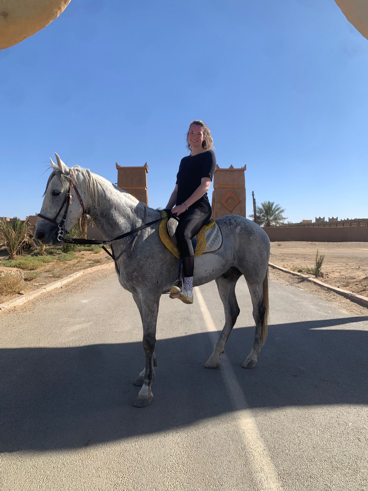 Moroccan landscape 3