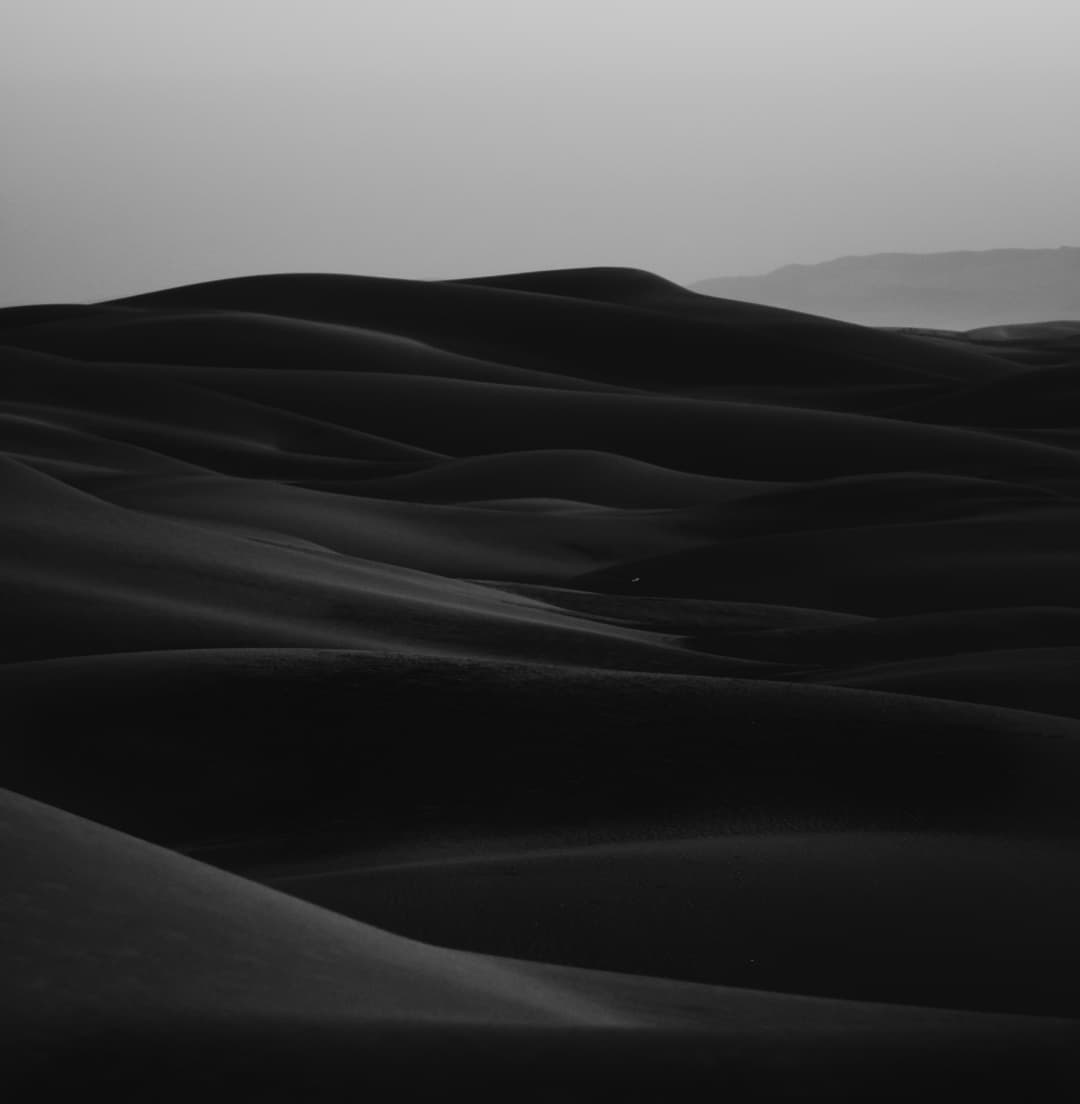 Travelers riding camels at sunset in the Sahara Desert
