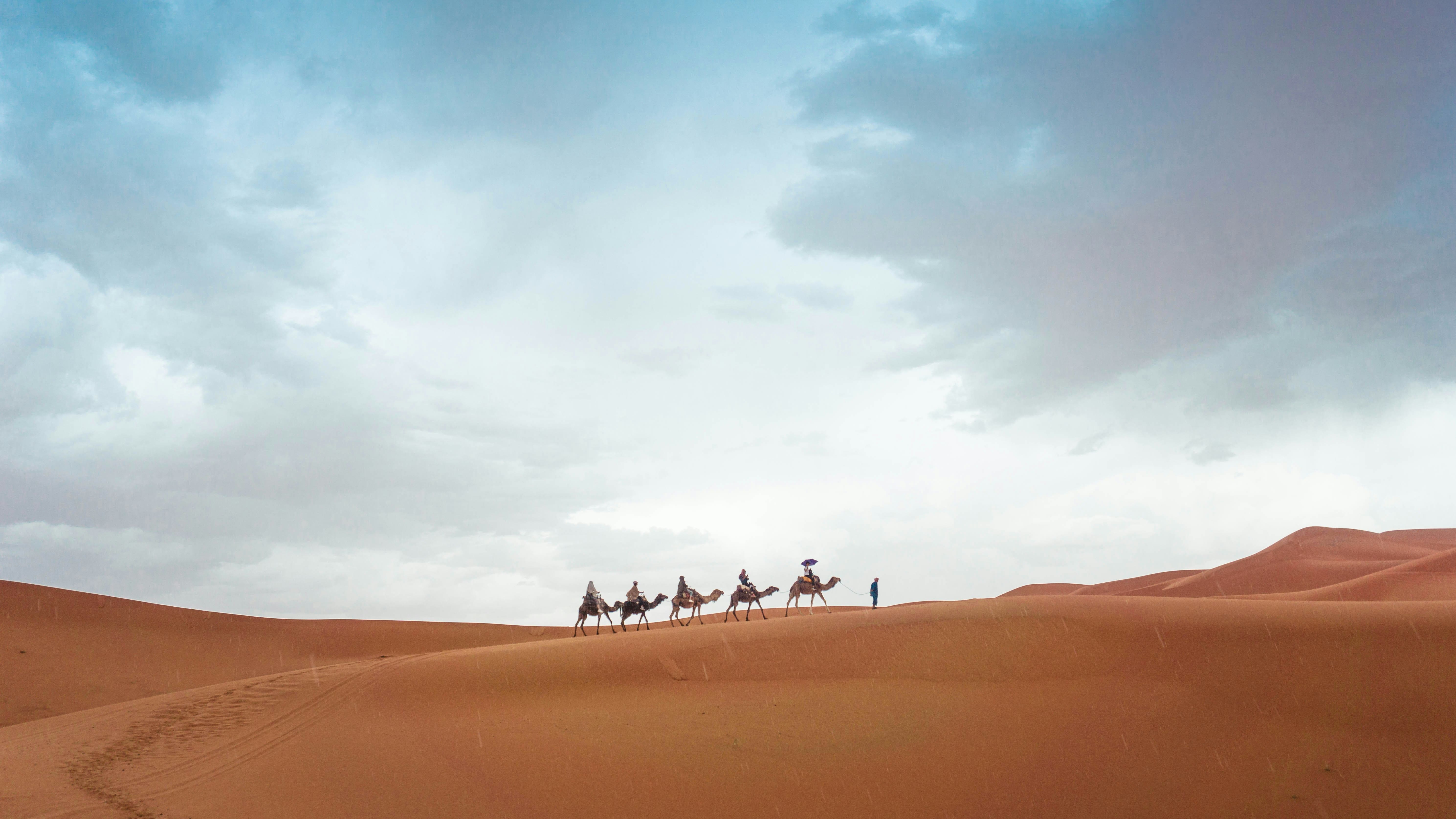 2 Days Express Tour From Fes to Merzouga Desert